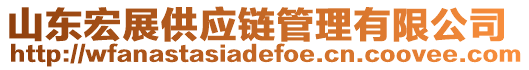 山東宏展供應(yīng)鏈管理有限公司