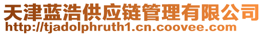 天津藍(lán)浩供應(yīng)鏈管理有限公司