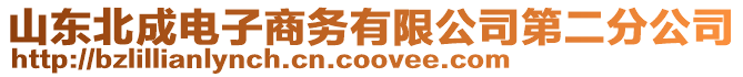 山東北成電子商務有限公司第二分公司