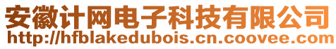 安徽計網電子科技有限公司