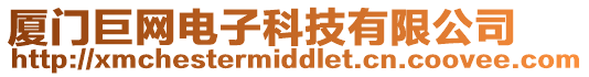 廈門巨網(wǎng)電子科技有限公司