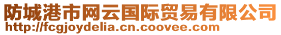防城港市網云國際貿易有限公司