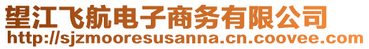 望江飛航電子商務(wù)有限公司