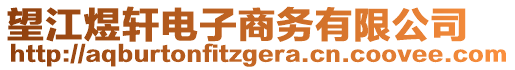 望江煜軒電子商務(wù)有限公司