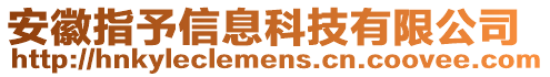 安徽指予信息科技有限公司