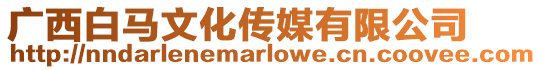 廣西白馬文化傳媒有限公司