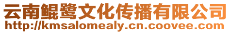 云南鯤鷺文化傳播有限公司