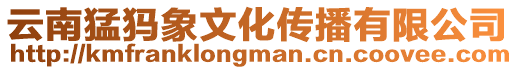 云南猛犸象文化傳播有限公司