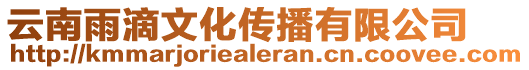云南雨滴文化傳播有限公司