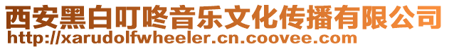 西安黑白叮咚音樂文化傳播有限公司
