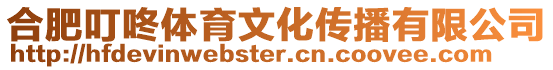 合肥叮咚體育文化傳播有限公司