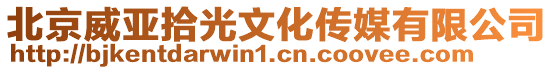 北京威亞拾光文化傳媒有限公司