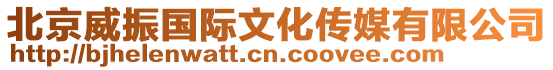 北京威振國際文化傳媒有限公司