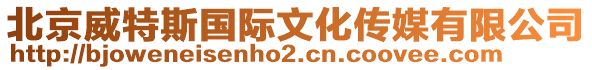 北京威特斯國(guó)際文化傳媒有限公司