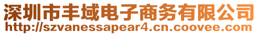 深圳市豐域電子商務(wù)有限公司