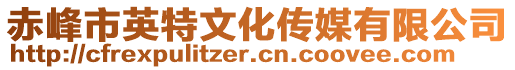 赤峰市英特文化傳媒有限公司