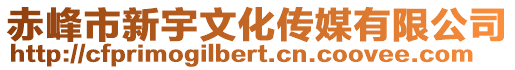 赤峰市新宇文化傳媒有限公司