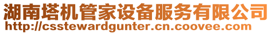 湖南塔機管家設備服務有限公司