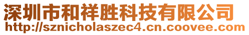 深圳市和祥勝科技有限公司