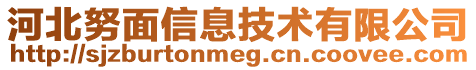 河北努面信息技術有限公司