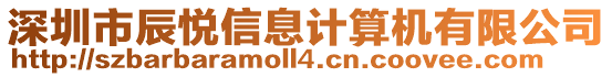 深圳市辰悅信息計(jì)算機(jī)有限公司