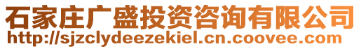 石家莊廣盛投資咨詢有限公司