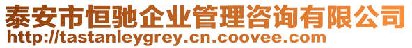 泰安市恒馳企業(yè)管理咨詢有限公司