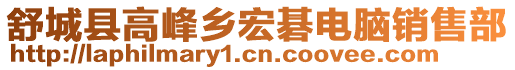 舒城縣高峰鄉(xiāng)宏碁電腦銷售部