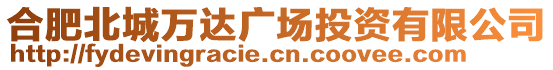 合肥北城萬(wàn)達(dá)廣場(chǎng)投資有限公司