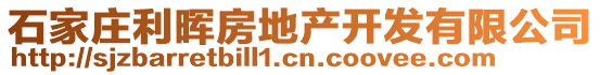 石家莊利暉房地產開發有限公司