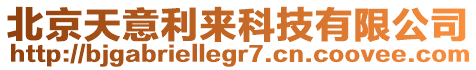 北京天意利來科技有限公司