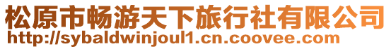 松原市暢游天下旅行社有限公司