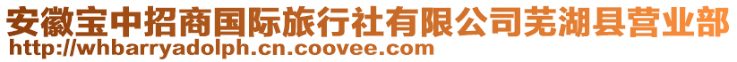 安徽寶中招商國際旅行社有限公司蕪湖縣營業(yè)部