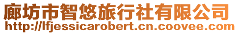廊坊市智悠旅行社有限公司