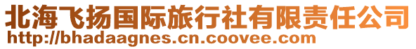 北海飛揚(yáng)國際旅行社有限責(zé)任公司