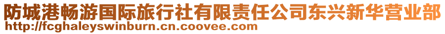 防城港暢游國際旅行社有限責任公司東興新華營業部