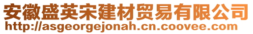 安徽盛英宋建材貿(mào)易有限公司