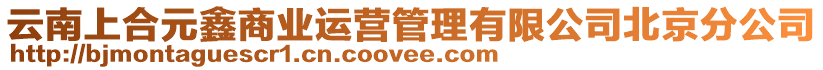 云南上合元鑫商業運營管理有限公司北京分公司