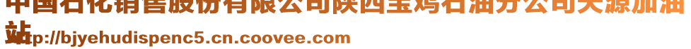 中國(guó)石化銷售股份有限公司陜西寶雞石油分公司天源加油
站