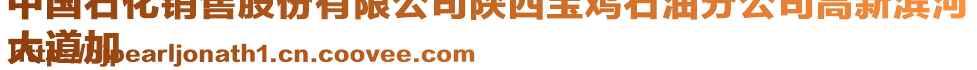 中國(guó)石化銷售股份有限公司陜西寶雞石油分公司高新濱河
大道加