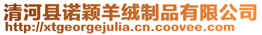 清河縣諾穎羊絨制品有限公司
