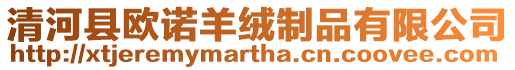 清河縣歐諾羊絨制品有限公司
