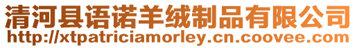 清河縣語諾羊絨制品有限公司
