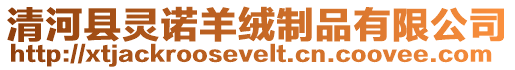 清河縣靈諾羊絨制品有限公司