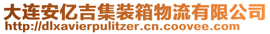 大連安億吉集裝箱物流有限公司