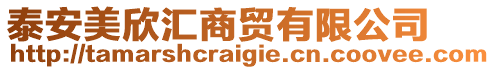 泰安美欣匯商貿(mào)有限公司