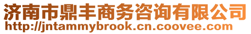 濟(jì)南市鼎豐商務(wù)咨詢有限公司