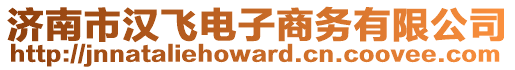 濟(jì)南市漢飛電子商務(wù)有限公司