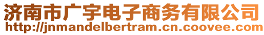 濟(jì)南市廣宇電子商務(wù)有限公司