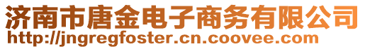 濟南市唐金電子商務有限公司